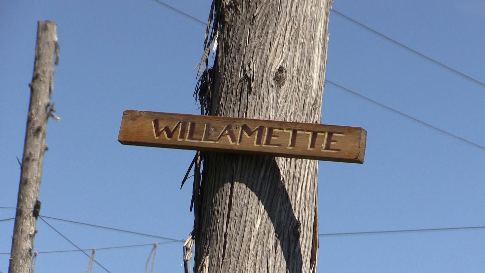 Willamette